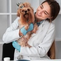 VetEnt Veterinary Clinics
